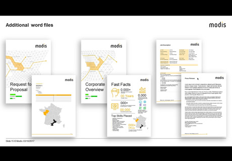 Modis Assets Presentation